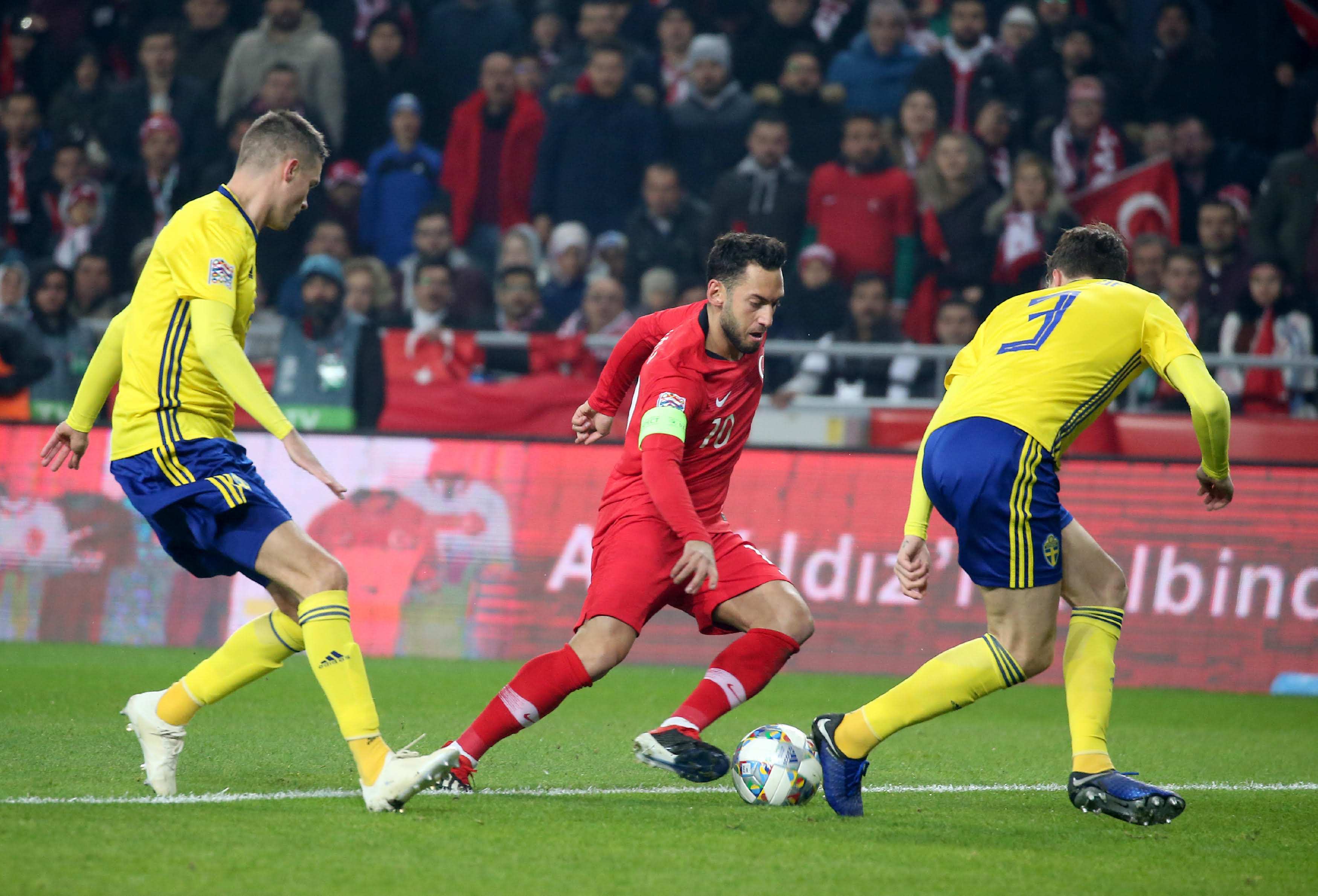 迷的朴素总 迷的朴素总